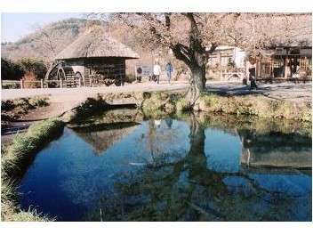 �����ĉ���p���[�X�|�b�g�E�씪�C