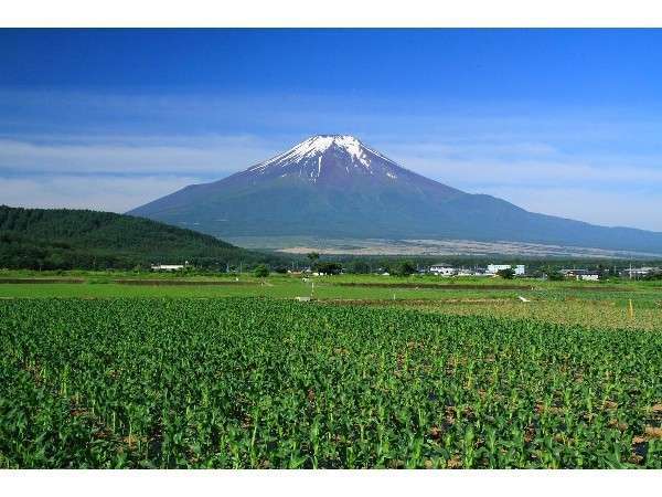 �l�G�܁X�̕x�m�̌i�F�Ɋ���