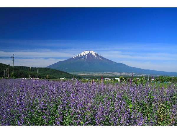 �l�G�܁X�̕x�m�̌i�F�Ɋ���