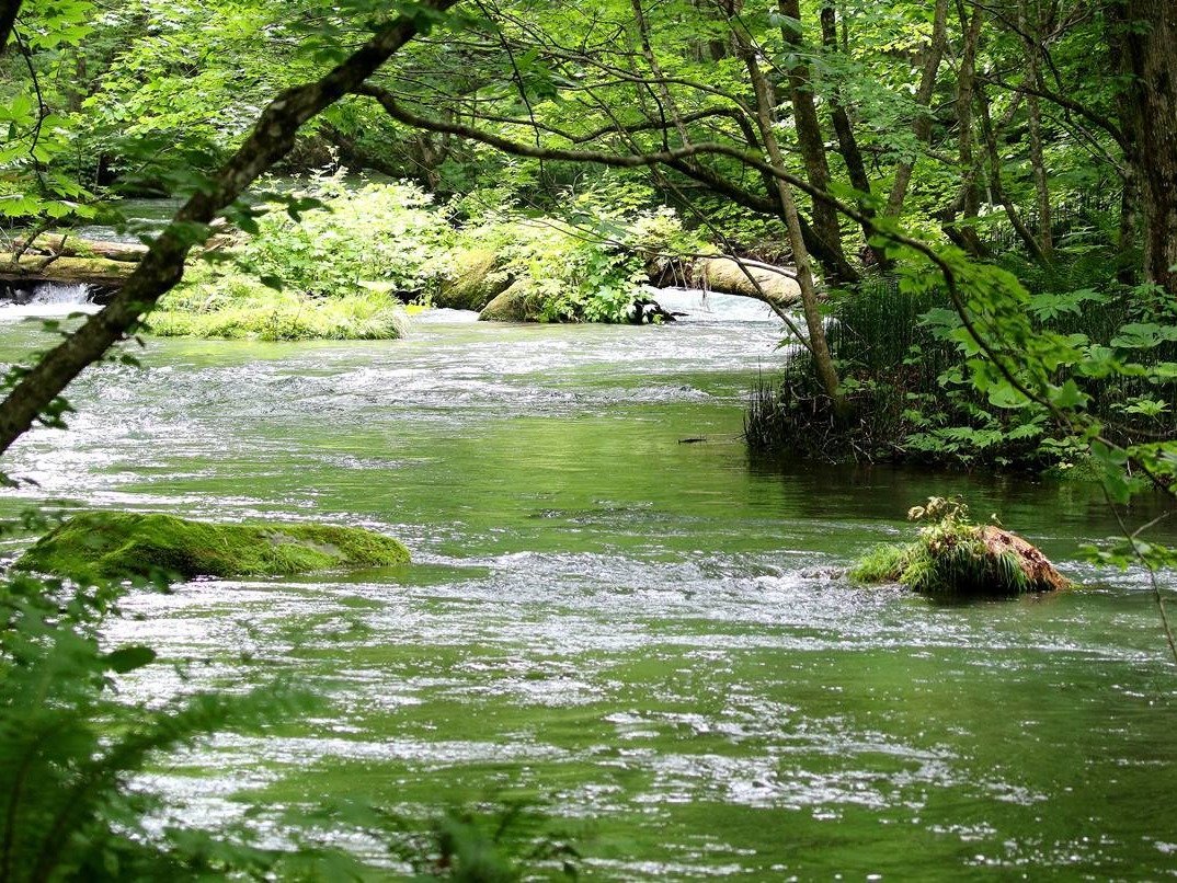 �������k��