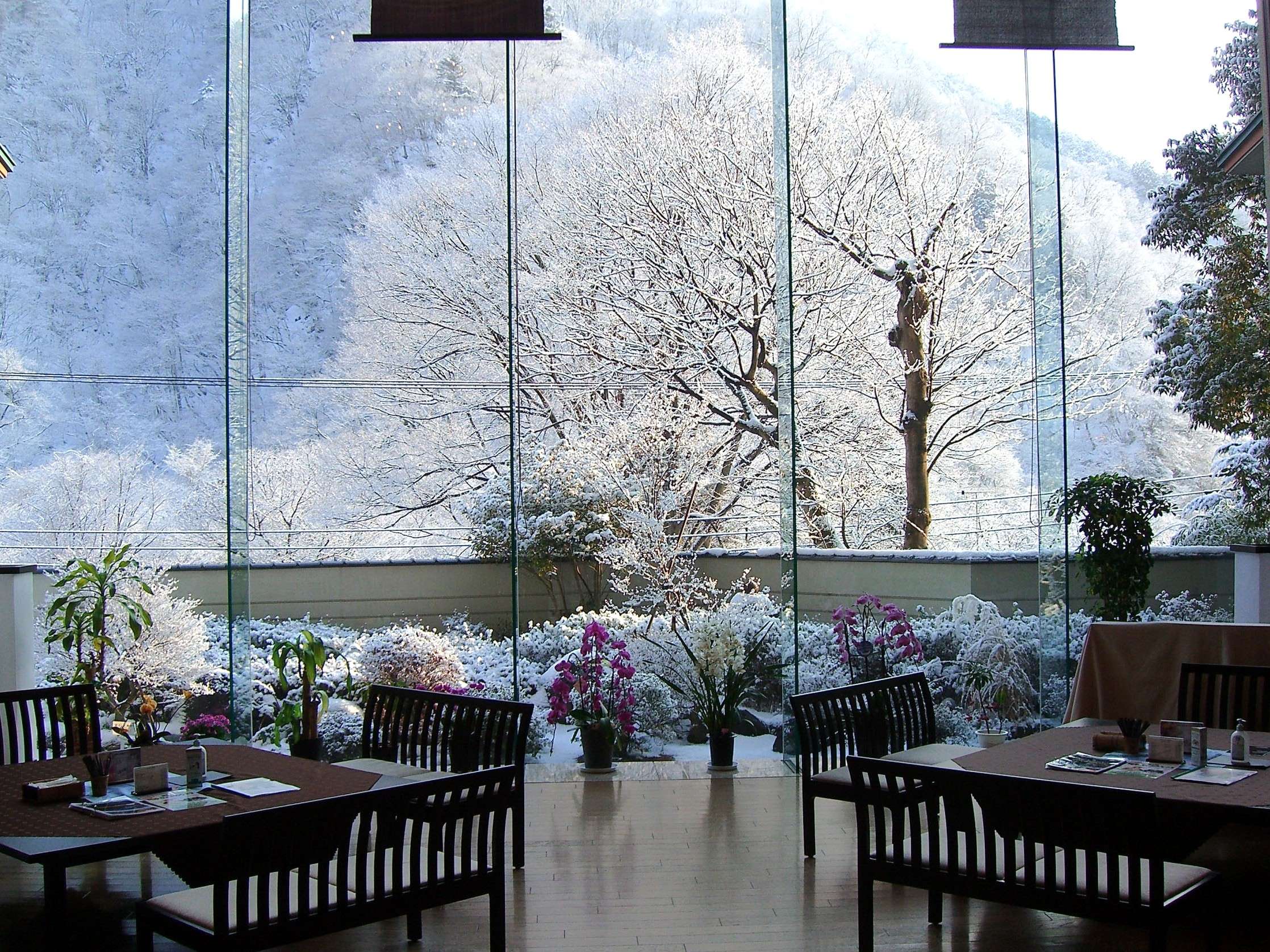 �~�i�F�̃��E���W