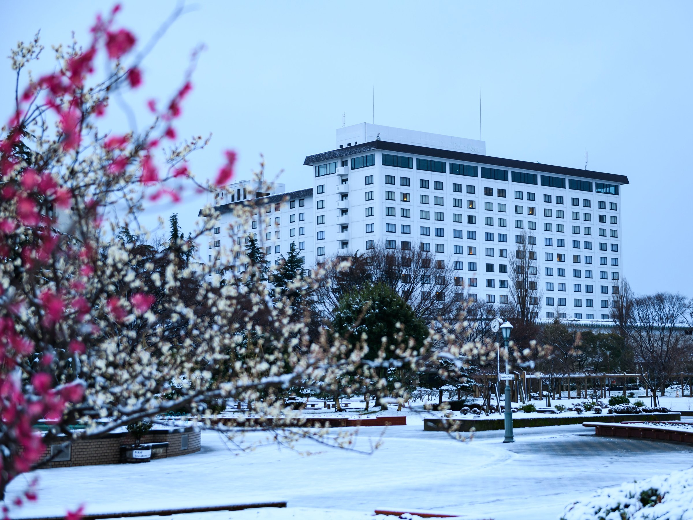 �y�z�e���O�ρ^�~�z