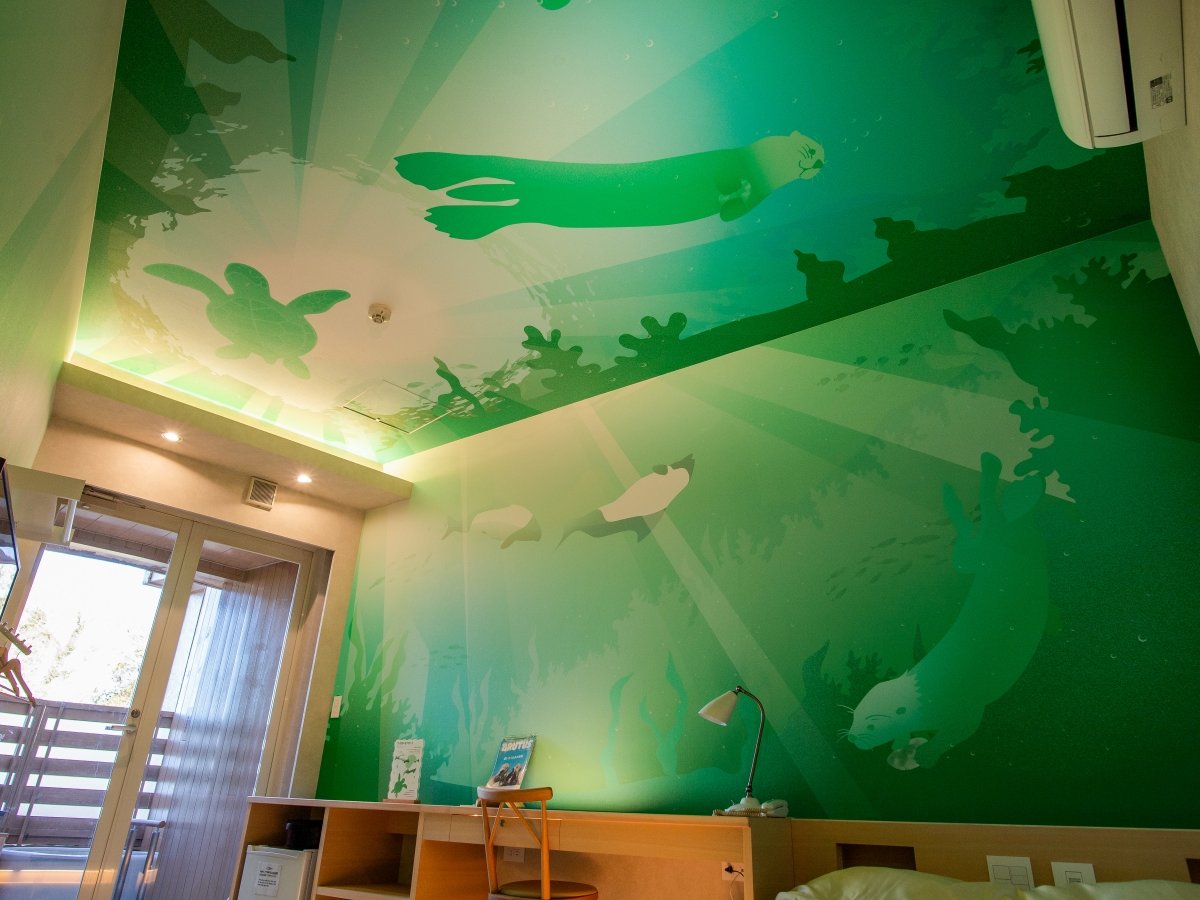 ���H�����يďC�u���b�R�O���[���v�I�V���C�t�_�u��(33�u�j