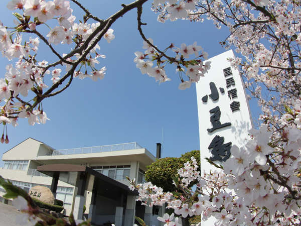 �t�͏h���ӂ̍����������I