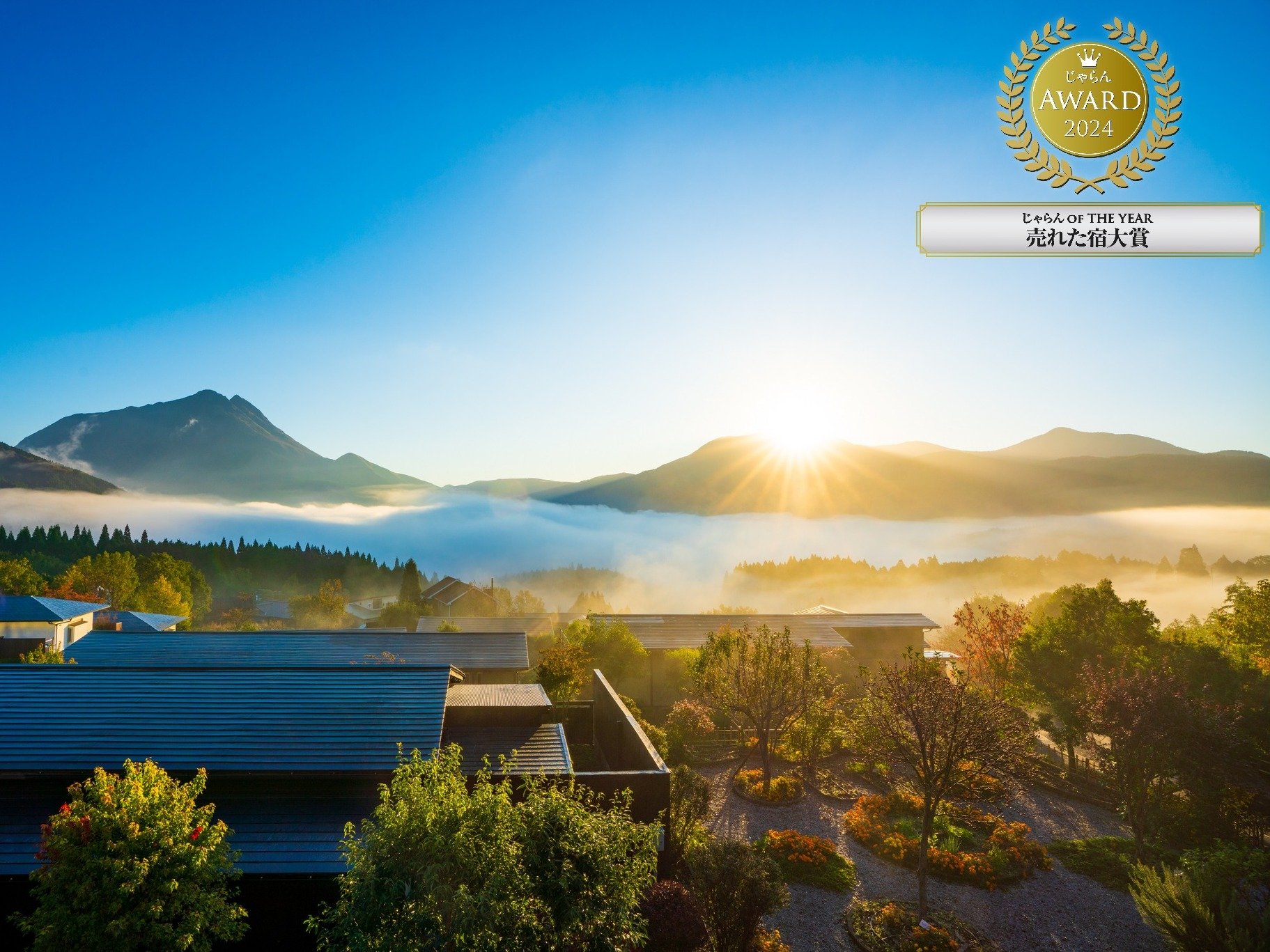 A[h2024@OF THE YEAR BGA 11`50 1ʁ