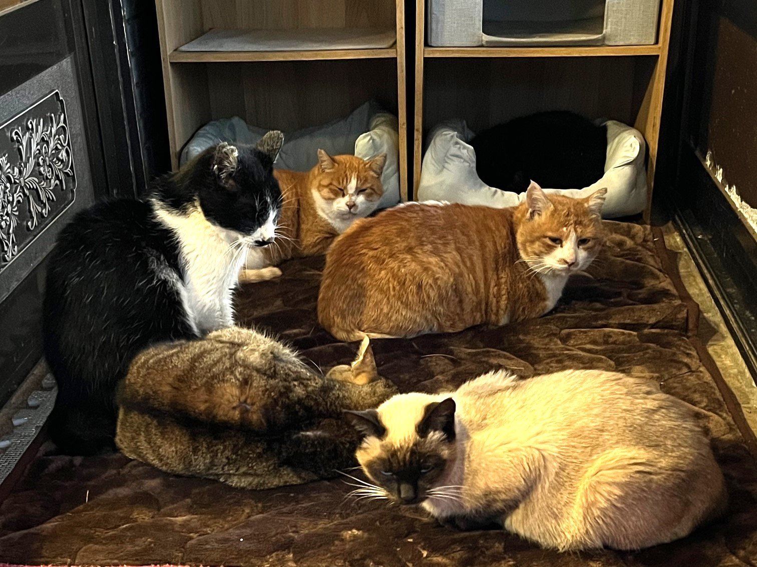 �����ւ̒n��˂��B