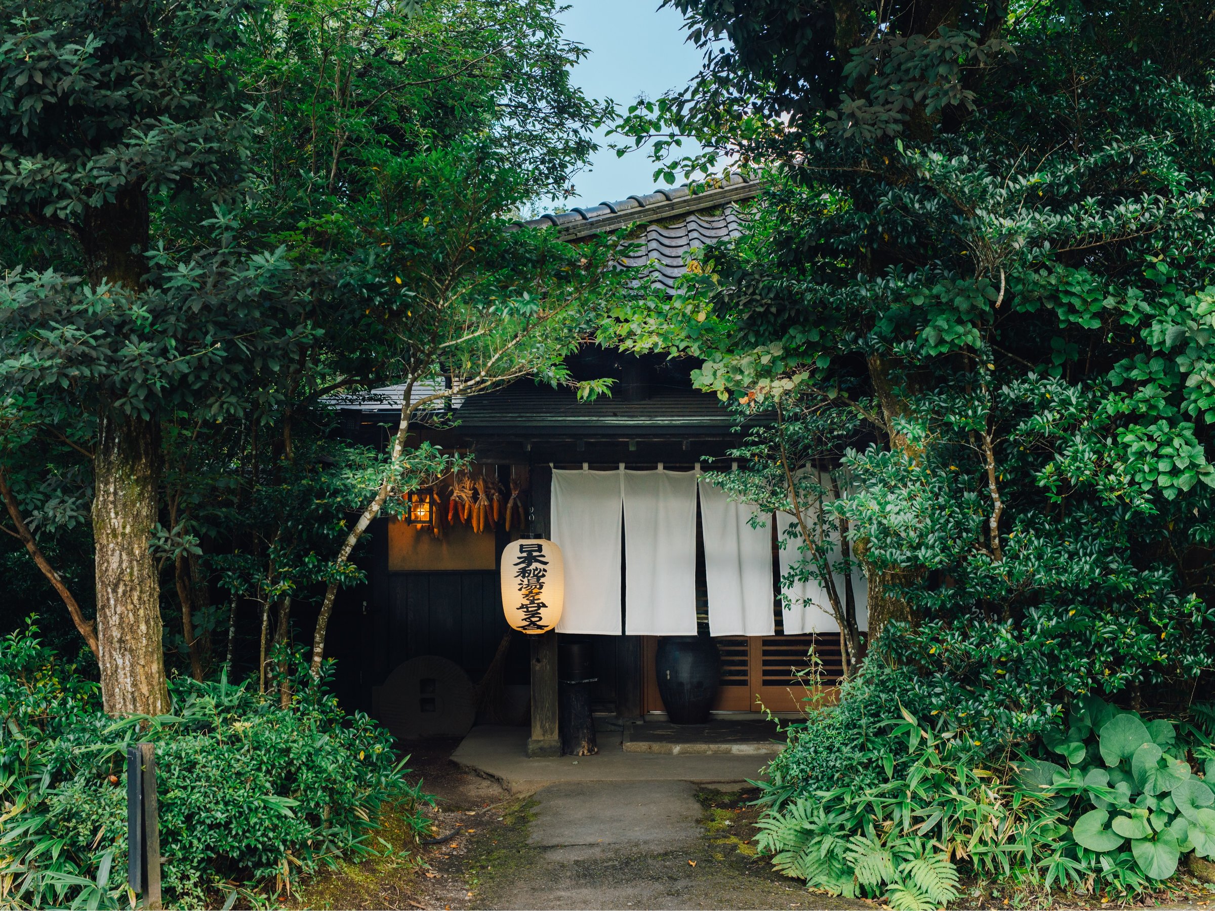 �����h�̏h��܂Ȃ݁i�O�ρj