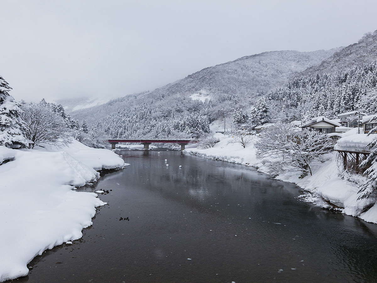 ���ӂ̓~�i�F