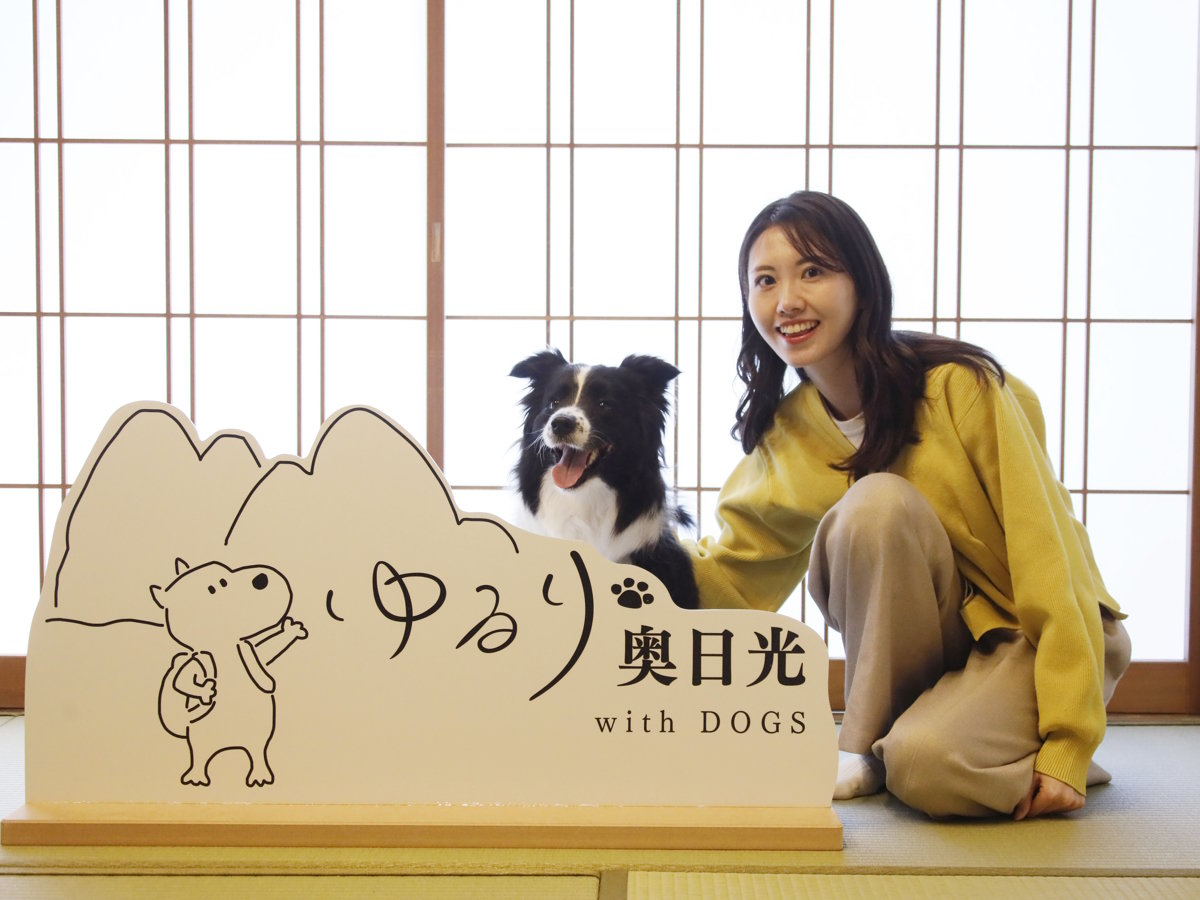 �y�t�H�g�X�^�W�I�z���̎v���o�Ɉ����Ƒf�G�Ȃ��ʐ^���������񂨎B�肢�������܂�(���)
