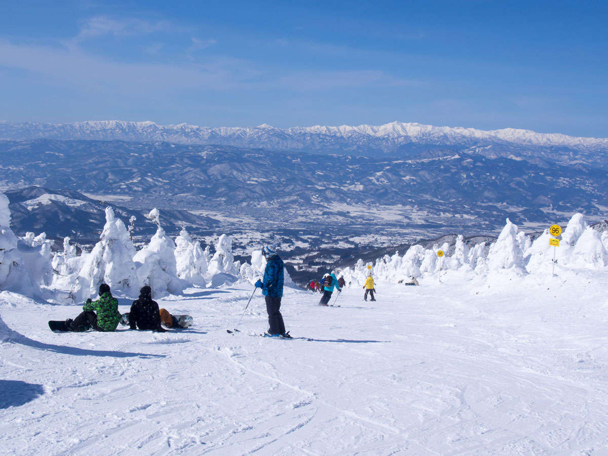 �y��������X�L�[��z���V���͐�i���������������܂�