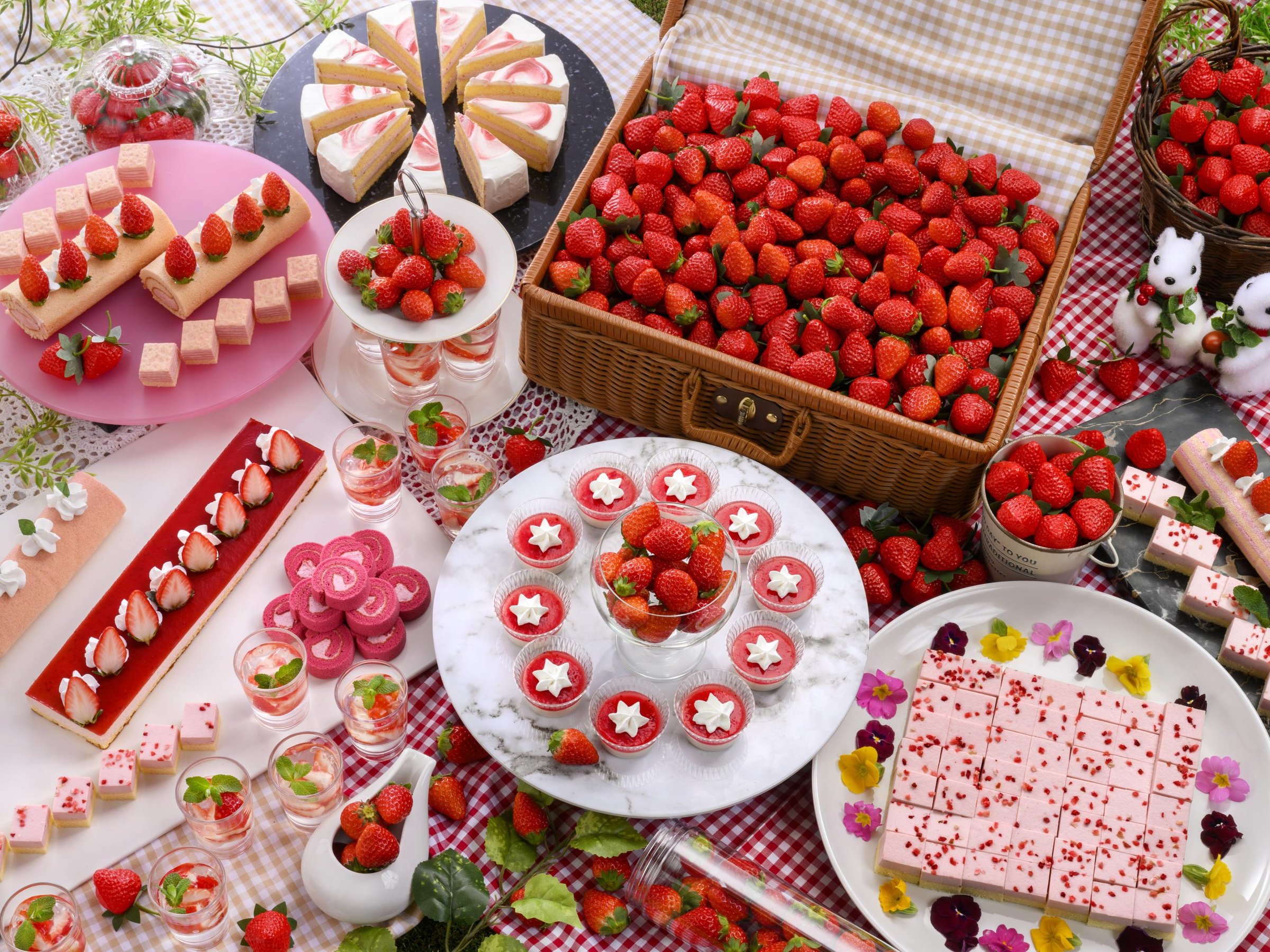 3��20���`5��10������u�X�g���x���[���L�b�Y�o�C�L���O�v䕂����ς��I