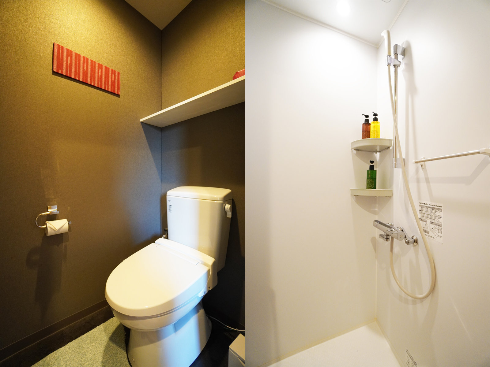 ���V�����[�u�[�X�E�g�C��