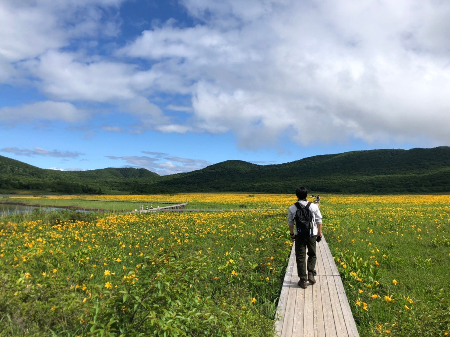 �悤�����V��̉ԉ��ցI�i�j�b�R�E�L�X�Q�����J�̗Y�����j