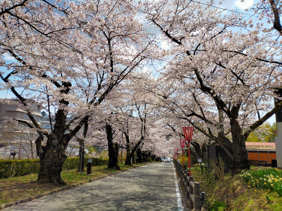 �x�������B