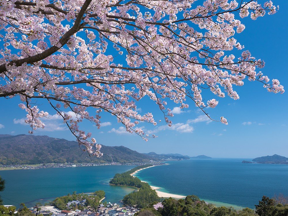 �y�V�����r���[�����h�z