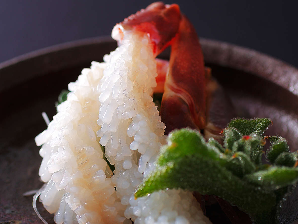 �y�Y���C�I�z���u�̍g�I�i�g�Y���C�I�j�A�{�Y���C�I�����悢����ցB