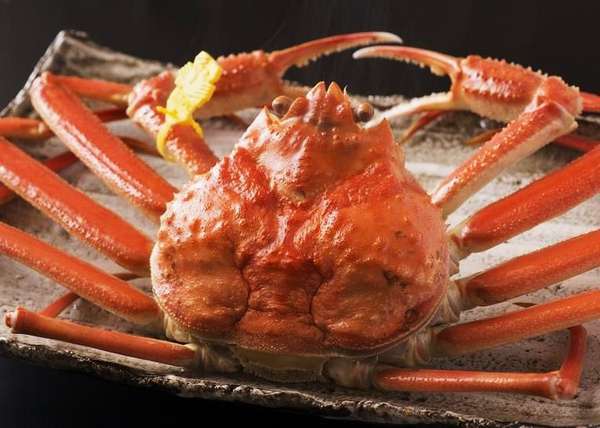 �~�̑�햡���z�O�K�j�͔M�X��䥂ŗ��Ă��������オ�艺�����B