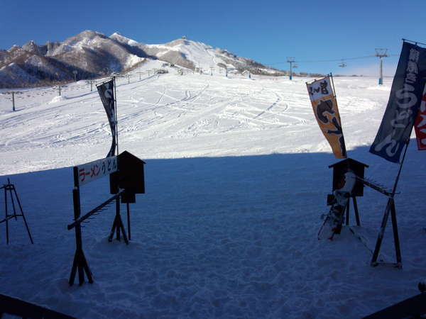 ���ւ��猩���i�F�B�����A�Q�����f�ɔ�яo�����I�I��