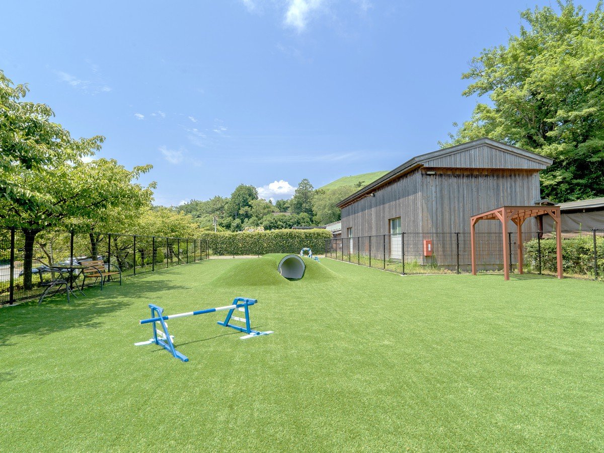 dog park�i����t���[�j�F�厺�R��]�ރh�b�O�����B�ӂ��̃G���A�ɕ�����Ă��܂��B