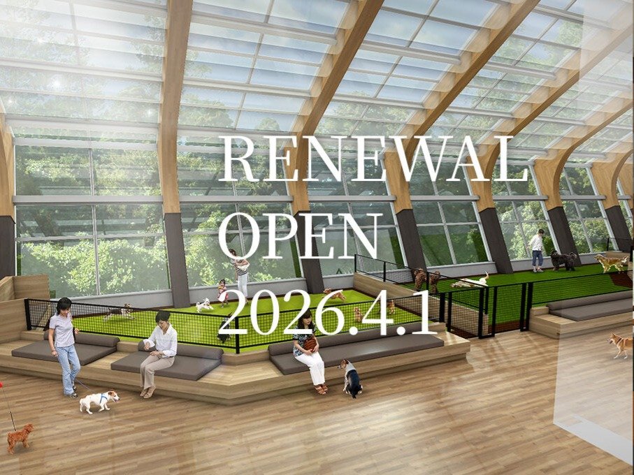 2026�N4��1���i���j���j���[�A���I�[�v��