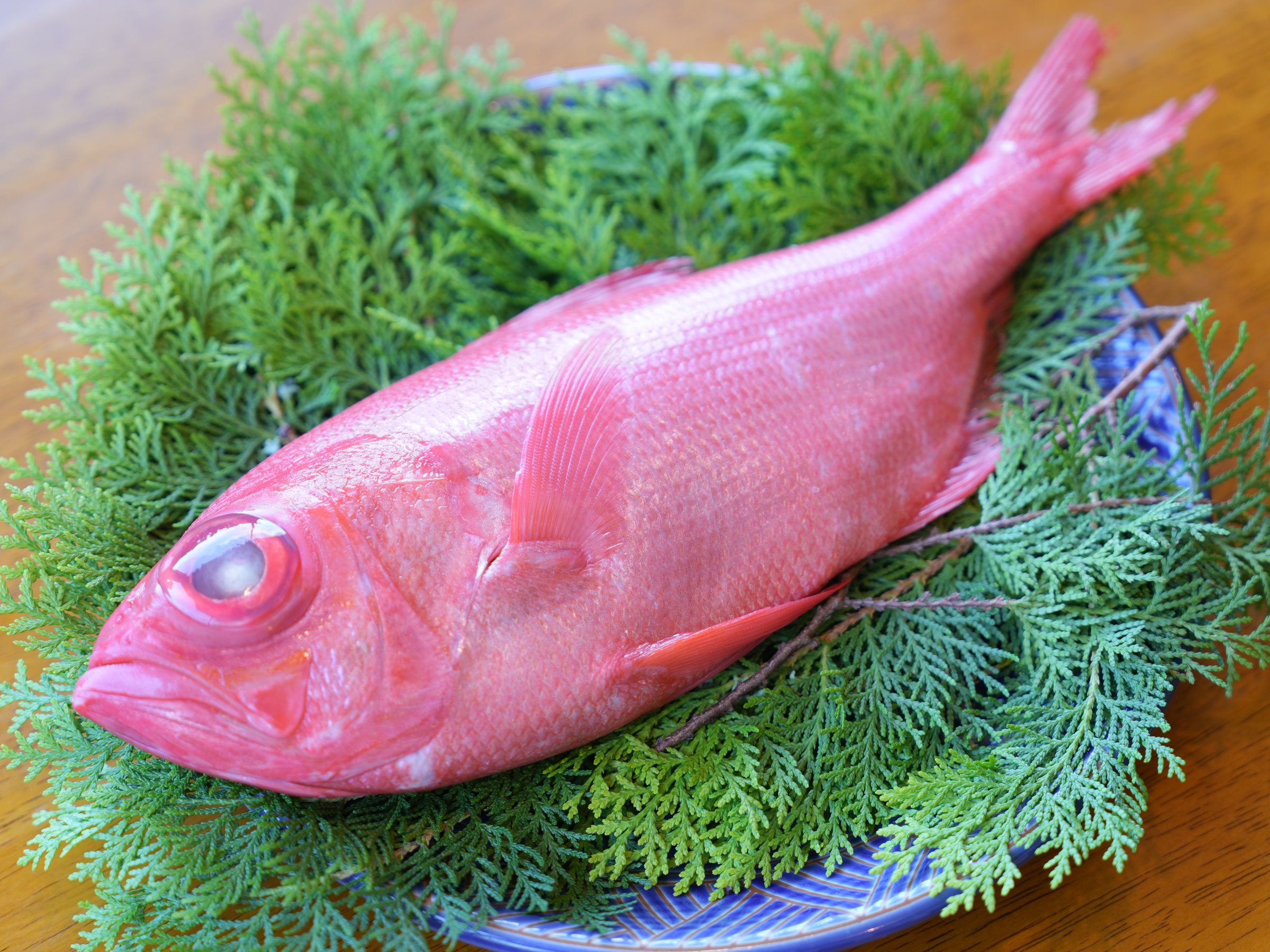 ���Y�̋��ڑ�