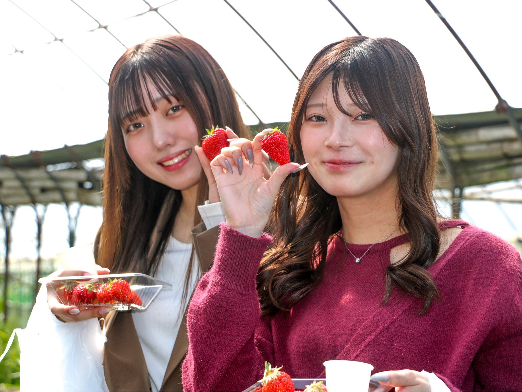 C`S蕗iP