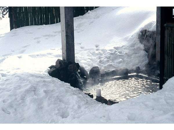 �����ς��̐�Ɉ͂܂ꂽ�@���������̖�6����̓��M�̑ݐؐጩ�I�V�@10���l�ł��������