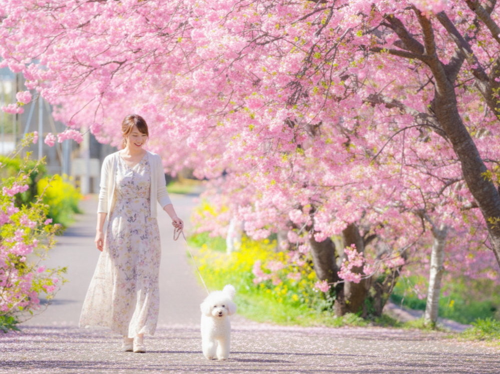 �͒Í��ŕ������Ɛl