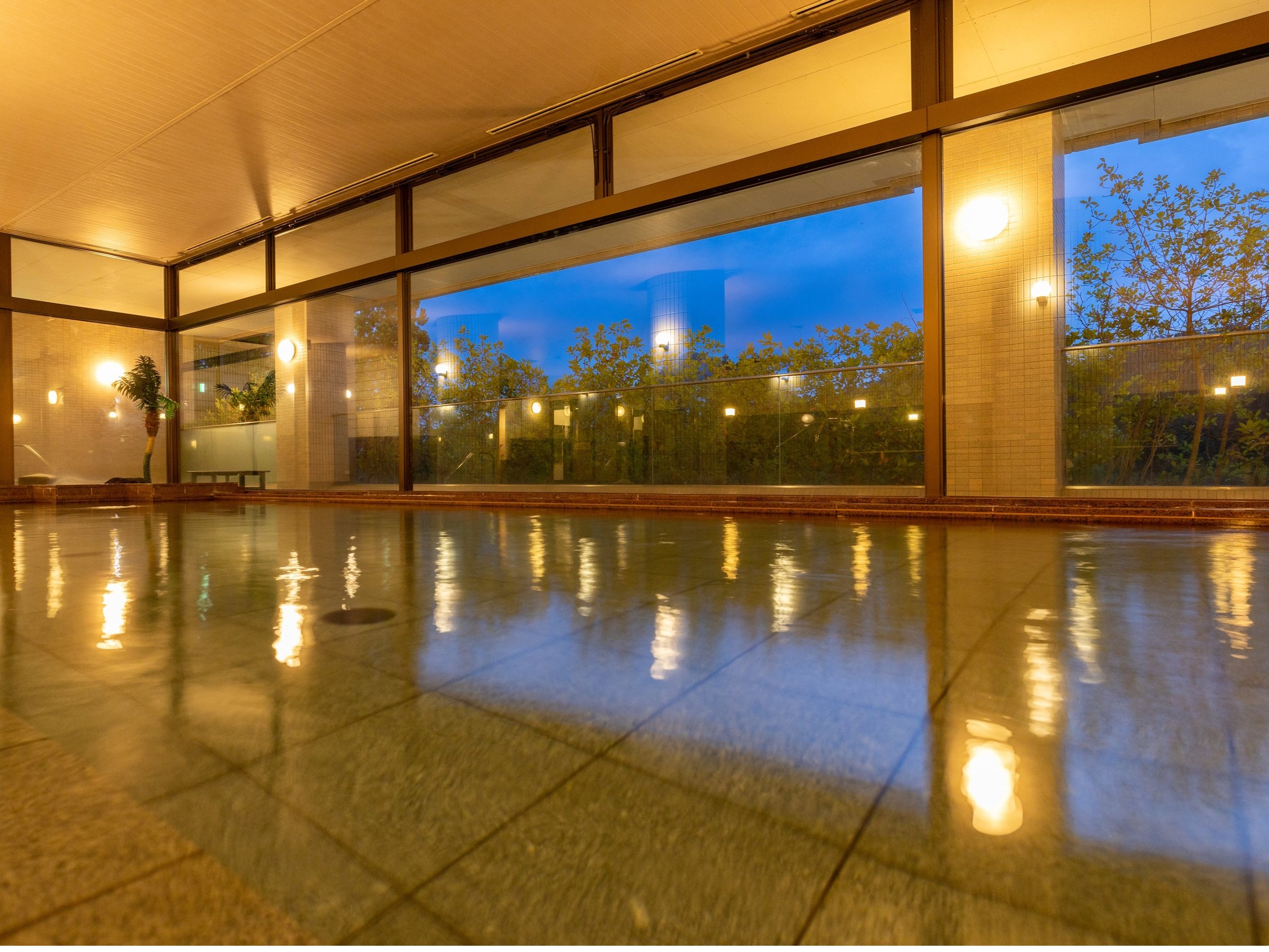 �y�嗁��z�j���e250�؂̉���嗁�����