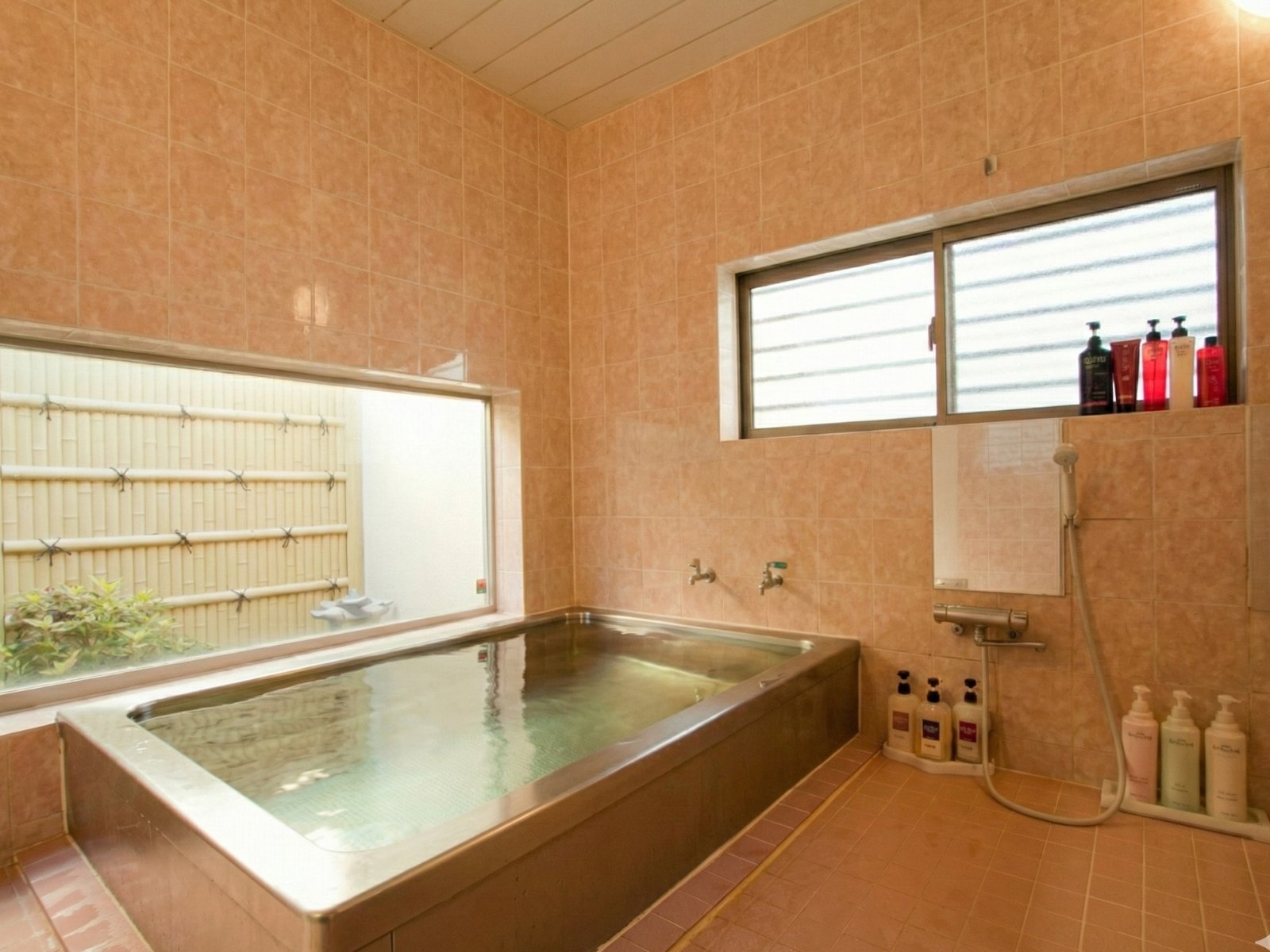 �����C_�V��