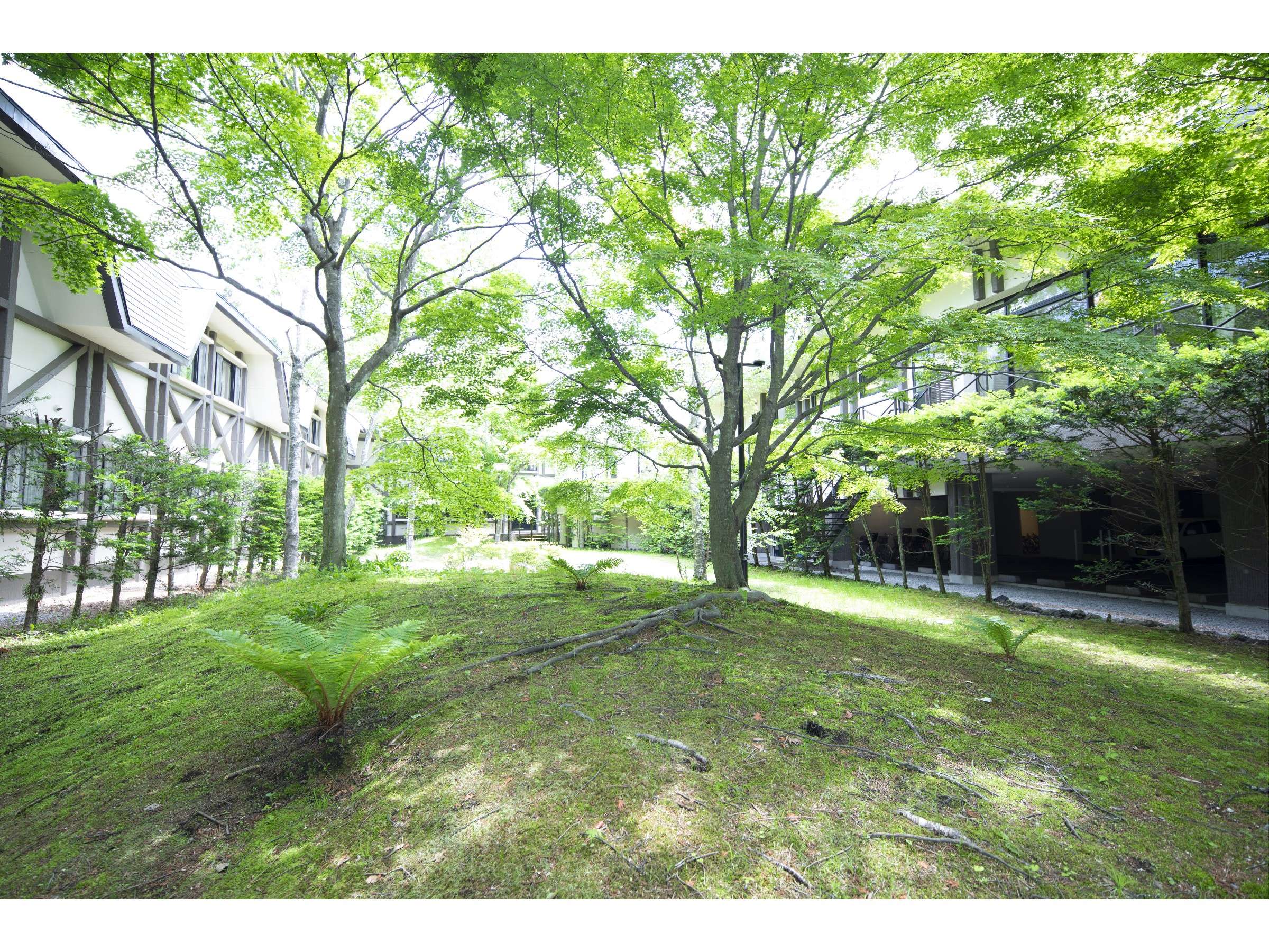 �z�e������