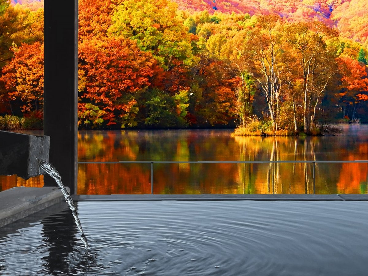 yH~LzgtD萬_Iȋ{ёыȂǏȞڂ̍L