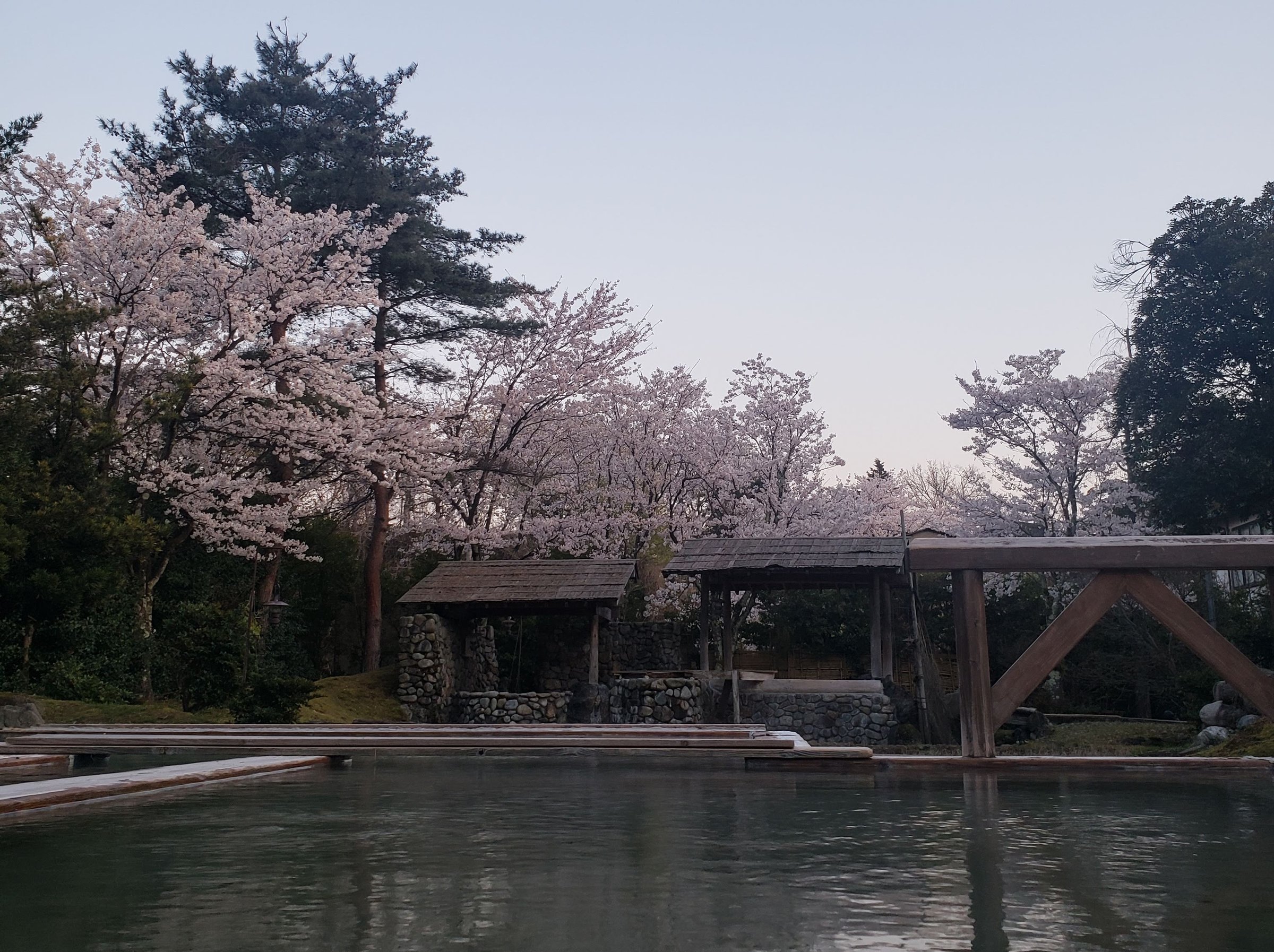 �����I�V���C�w�c��ڂ̓��x�t�̗[���