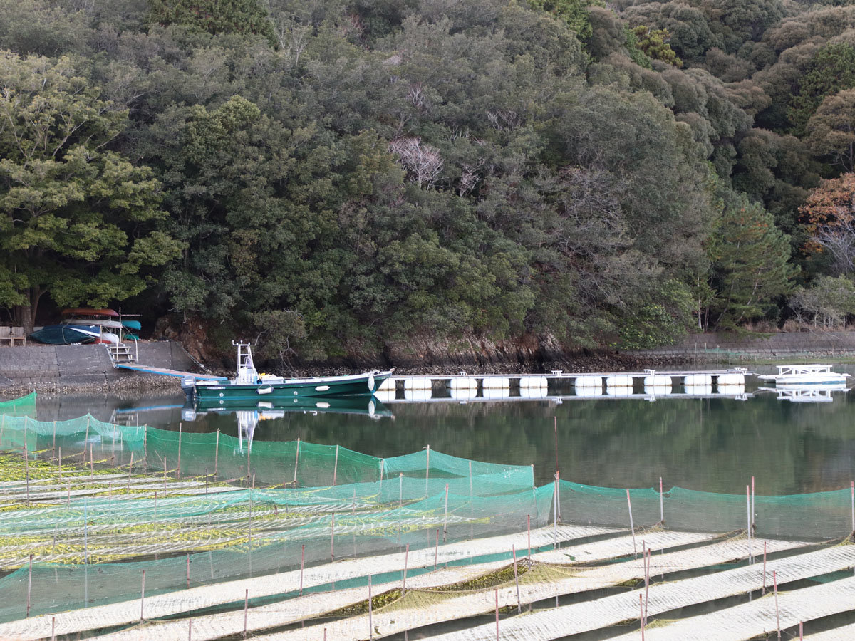 ���₩�ȓ��]��SUP�E�J�k�[����B�g�����Ȃ��A���S�҂ł����S���Ċy���߂܂�*