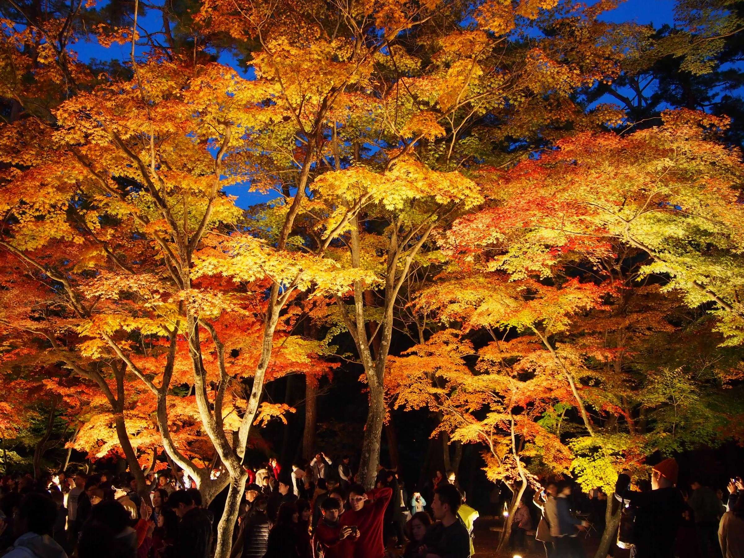 ݂CgAbv 2025N11/12Jn\