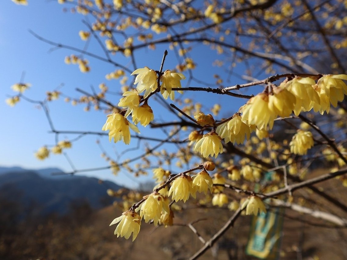 ��o�R�E���E�o�C��