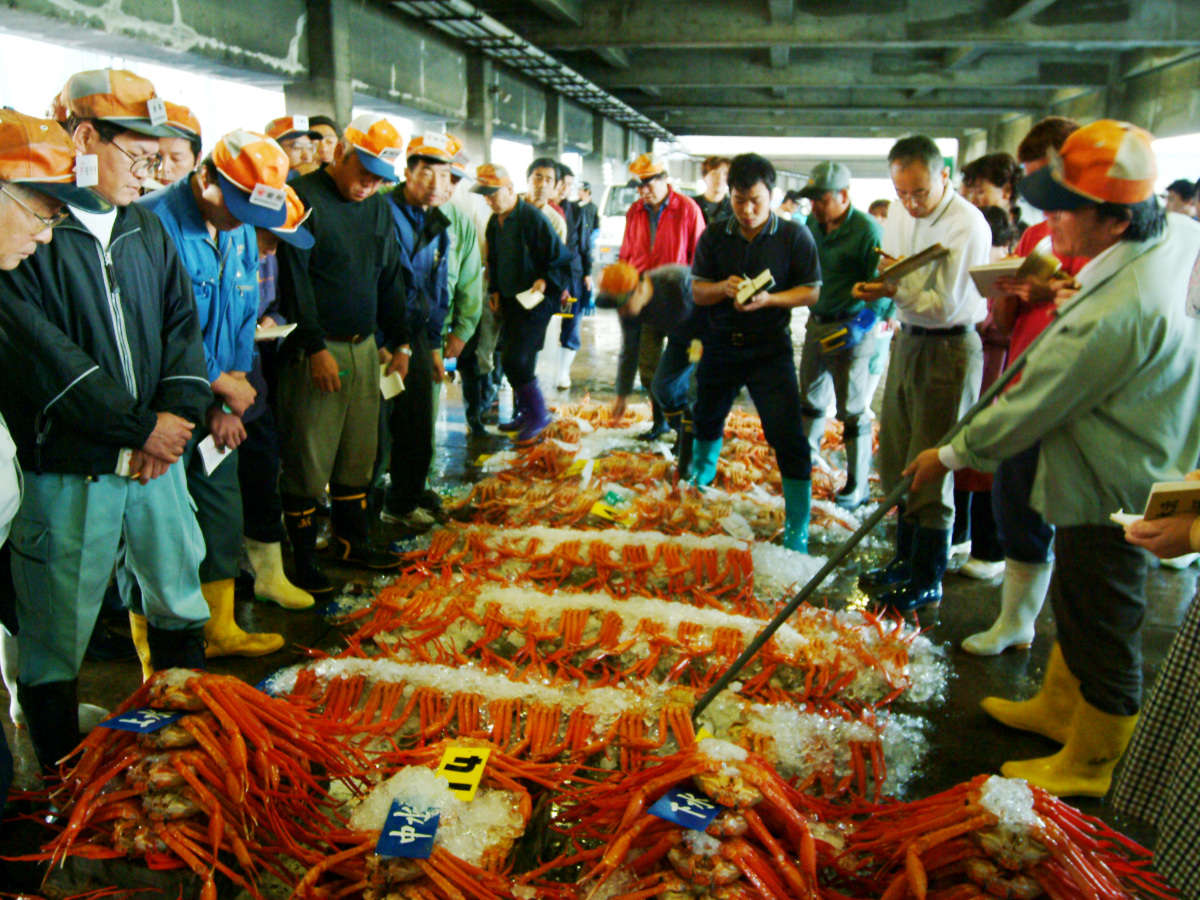 �n�����`�ŐV�N�ȊC�̍K���l��܂��B�H�ނ̖ڗ����Ŏ��ɂ�������Ă��܂�