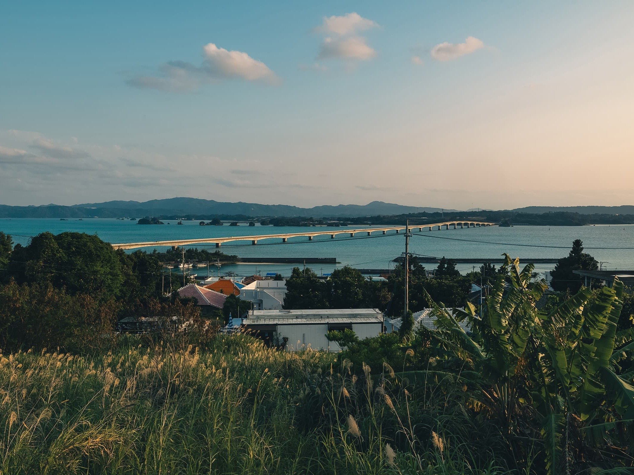 �o���R�j�[����̌ÉF���勴