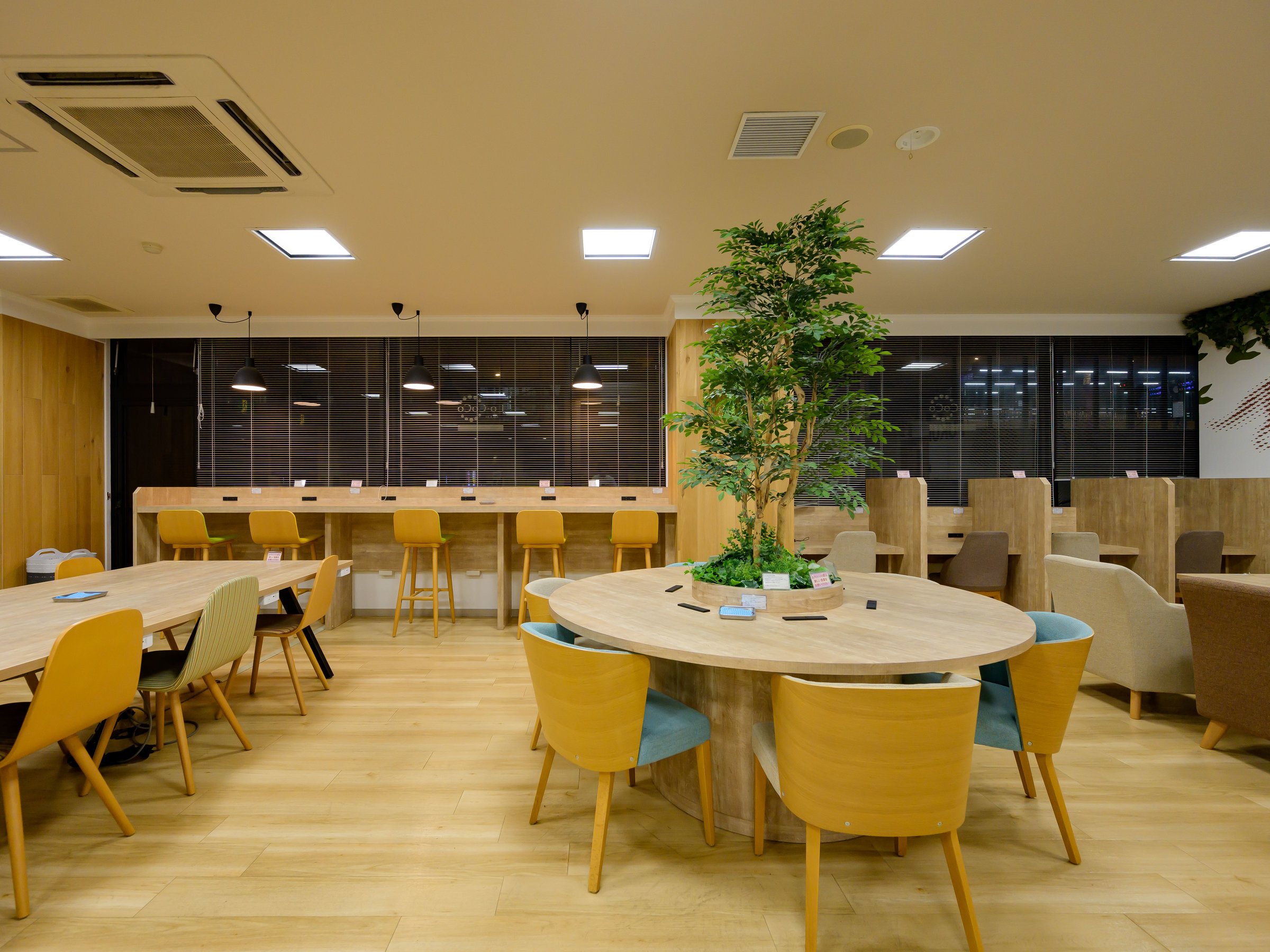 �y���H�z���H���