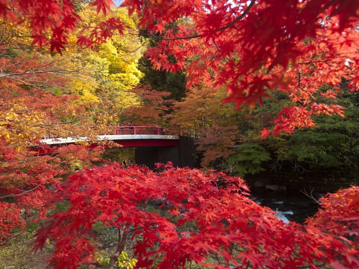 *݂R/2023N̍gtiLOɂāAu݂Rv1ʂɃNC