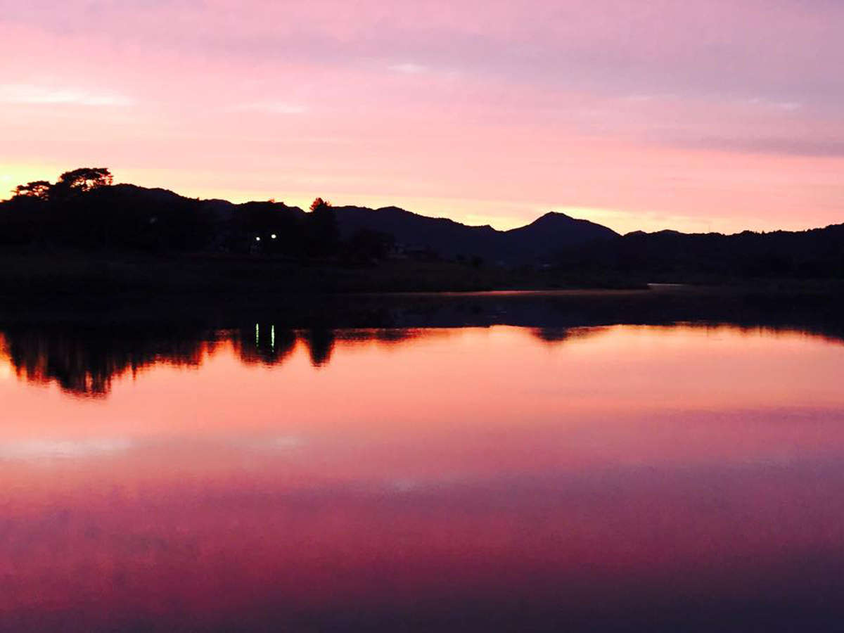 *yvzze̖ڂ̑OɂAlG܁X̕i݂܂B