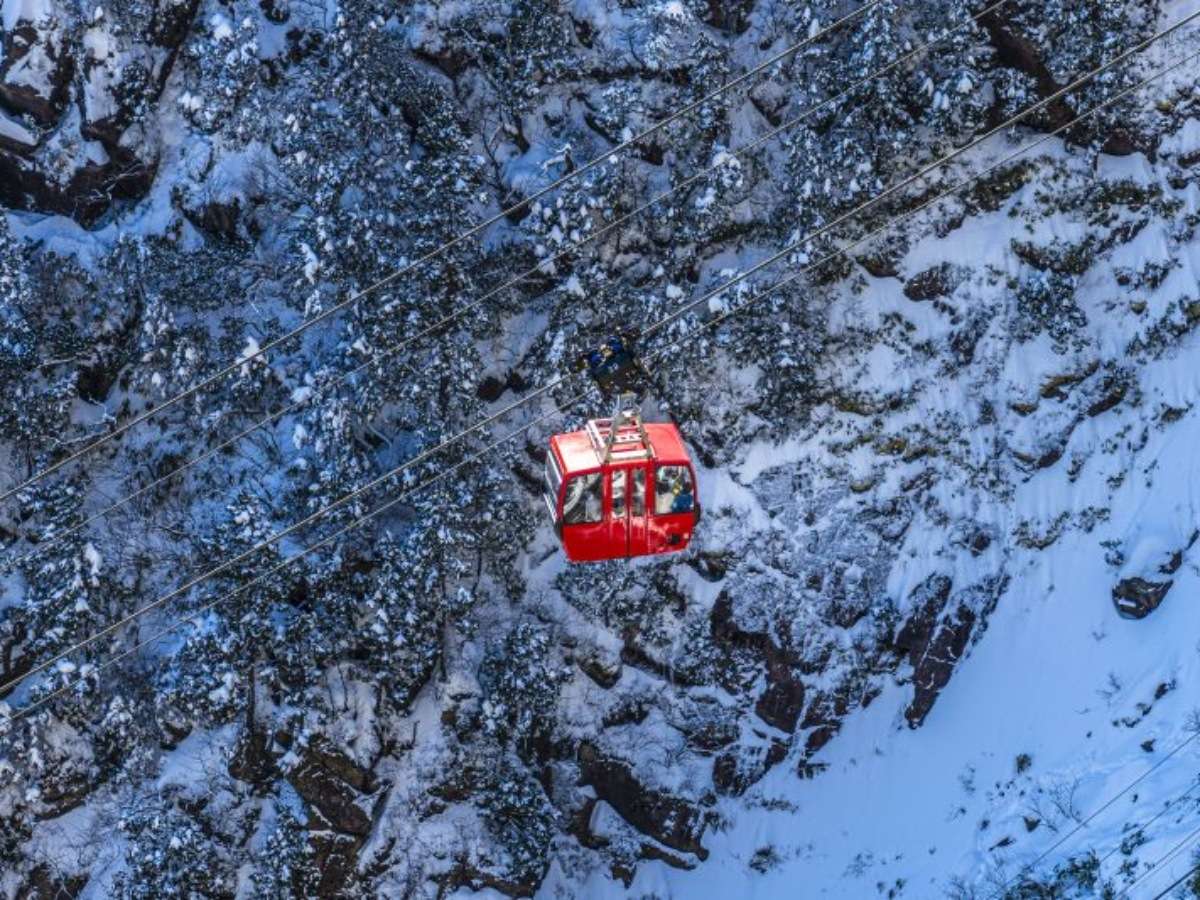 ��ݏ��x���[�v�E�F�C�@�~�ɂ͐ቻ�ς��ƂĂ����ꂢ�ł��B