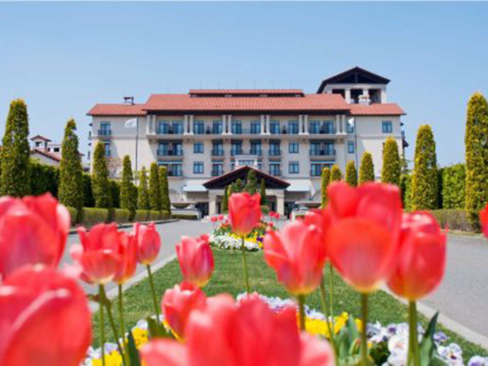 �G���g�����X�͋G�߂̉ԁX�����}�����܂�