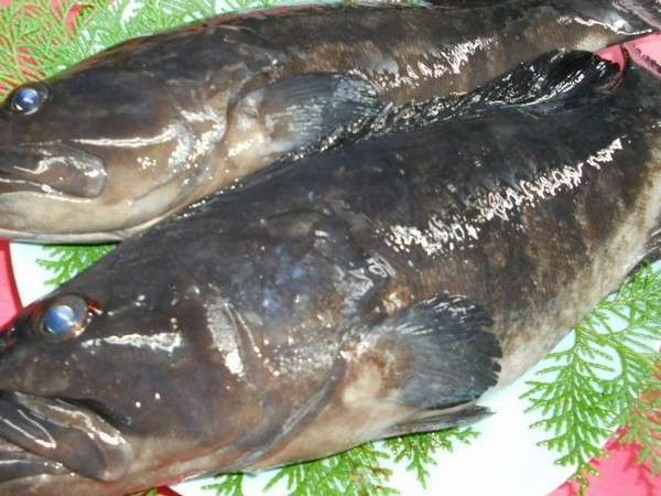 ���̋��N�G