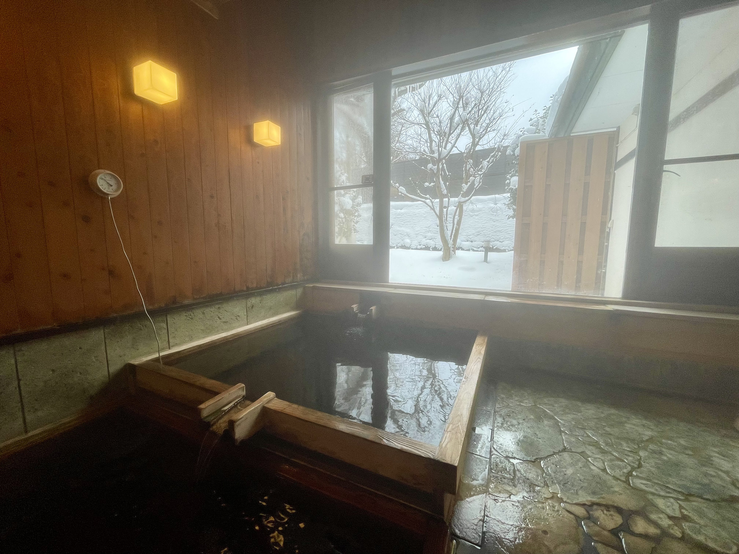 �y�j���@�w���C�@���F�~�z�����ނ�̌������ɍL����A����̐�i