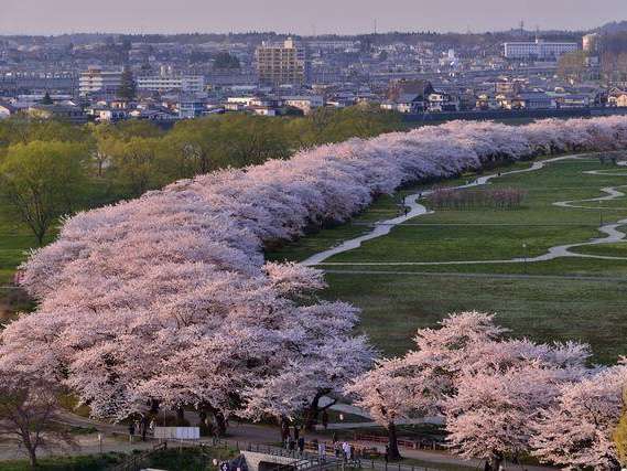 ���̖����i����ࣖ��j�k��W���n��������܂聡2026�N�S���P�O���`�S���Q�X���\��