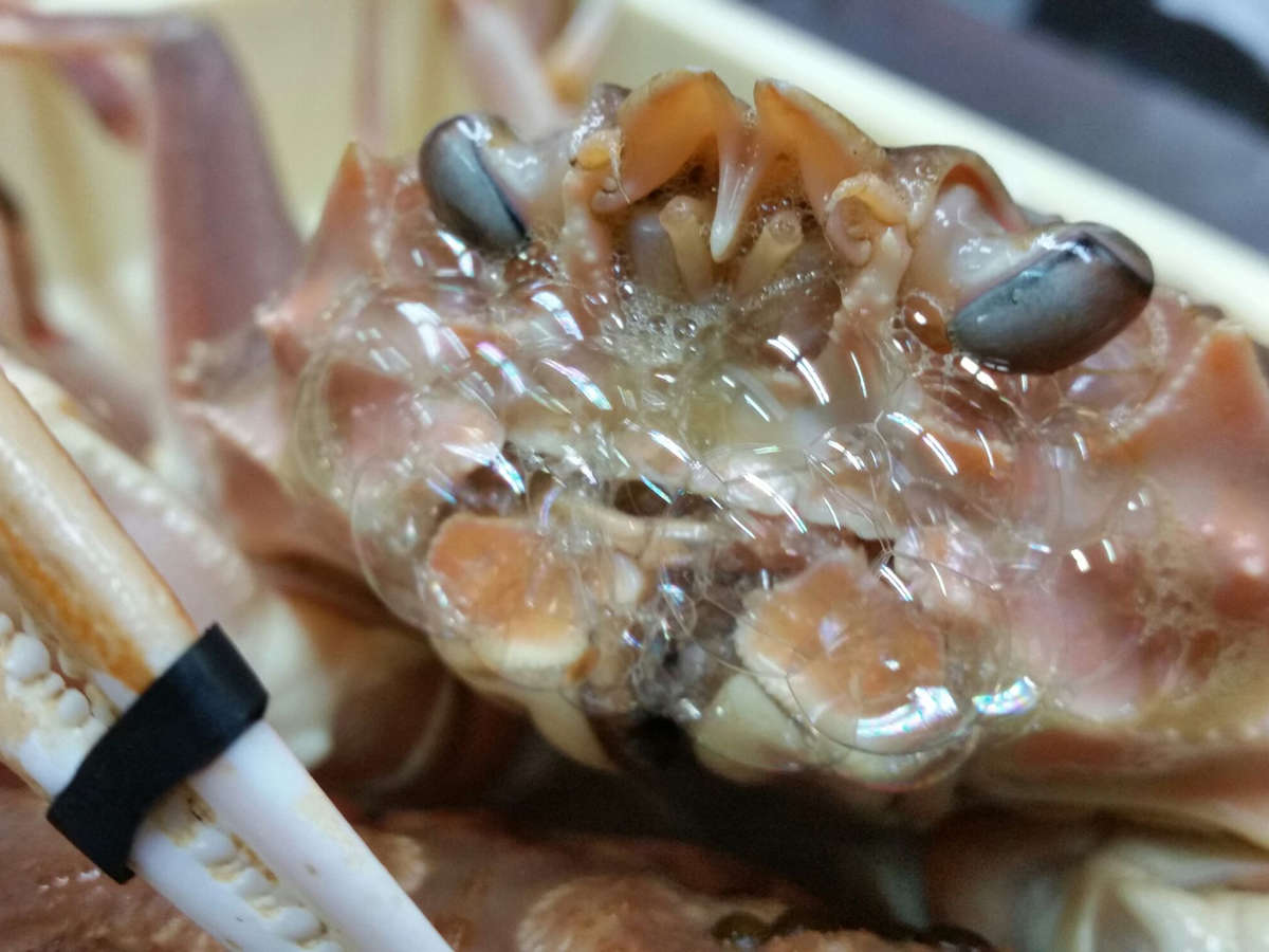 �~�̒O��u���Ɂv�I�����y���݂�������