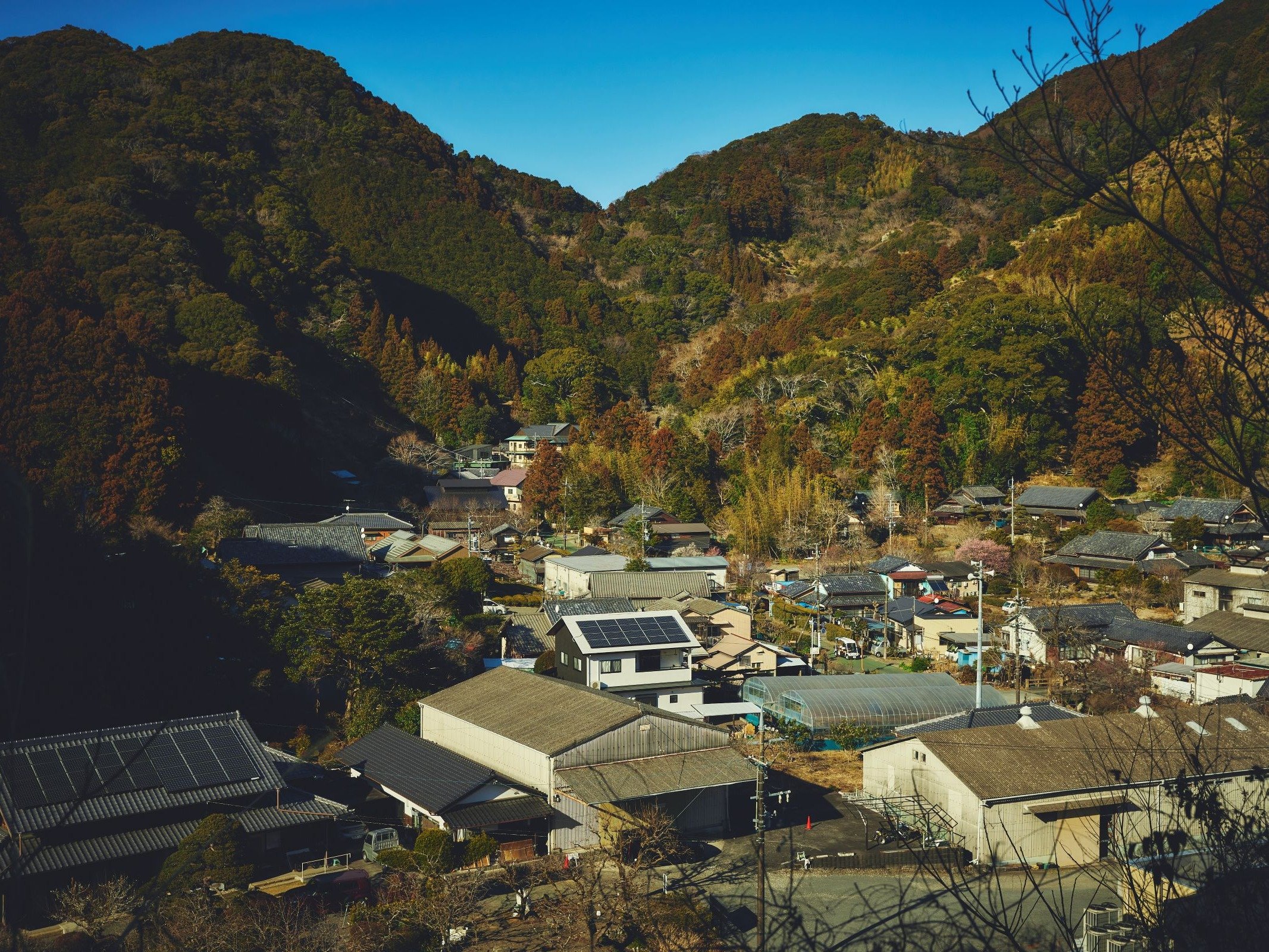 ���ӗ��R�@�C���[�W