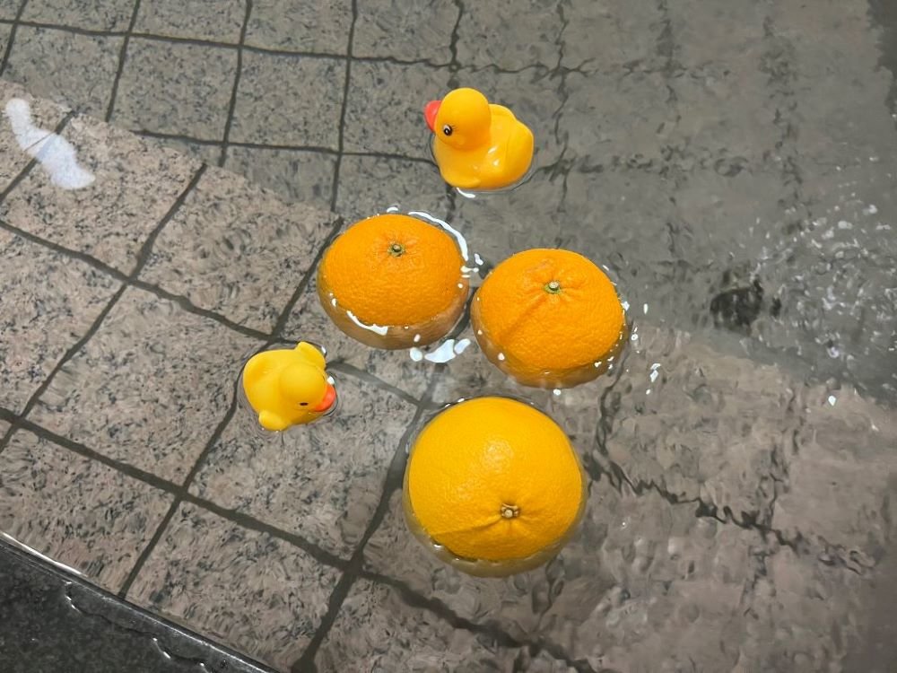 �����C