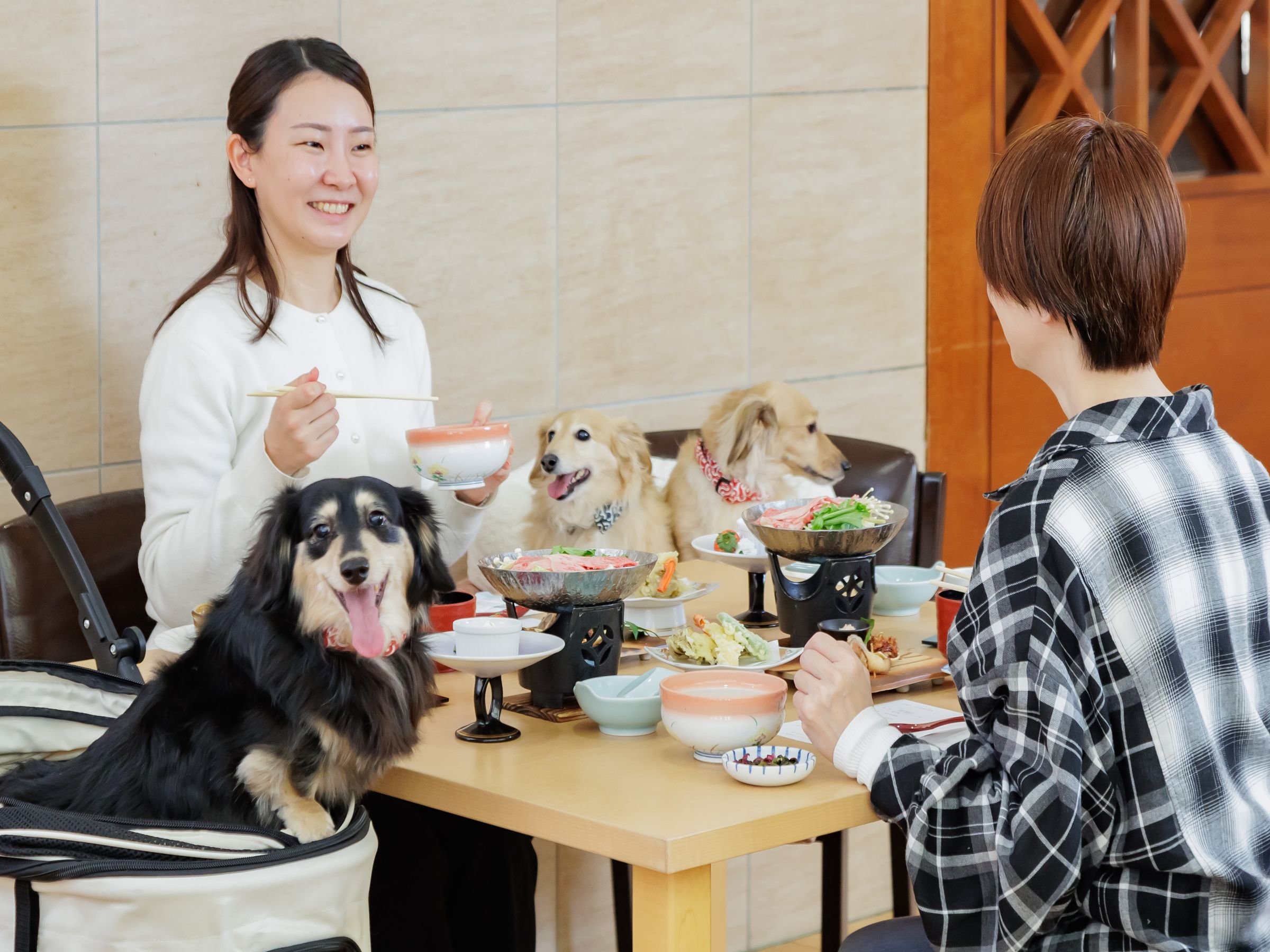 �y2026�N4��11���`�z���X�g�����ł̐H�����ꏏ�Ɂ�i�摜�̓C���[�W�j